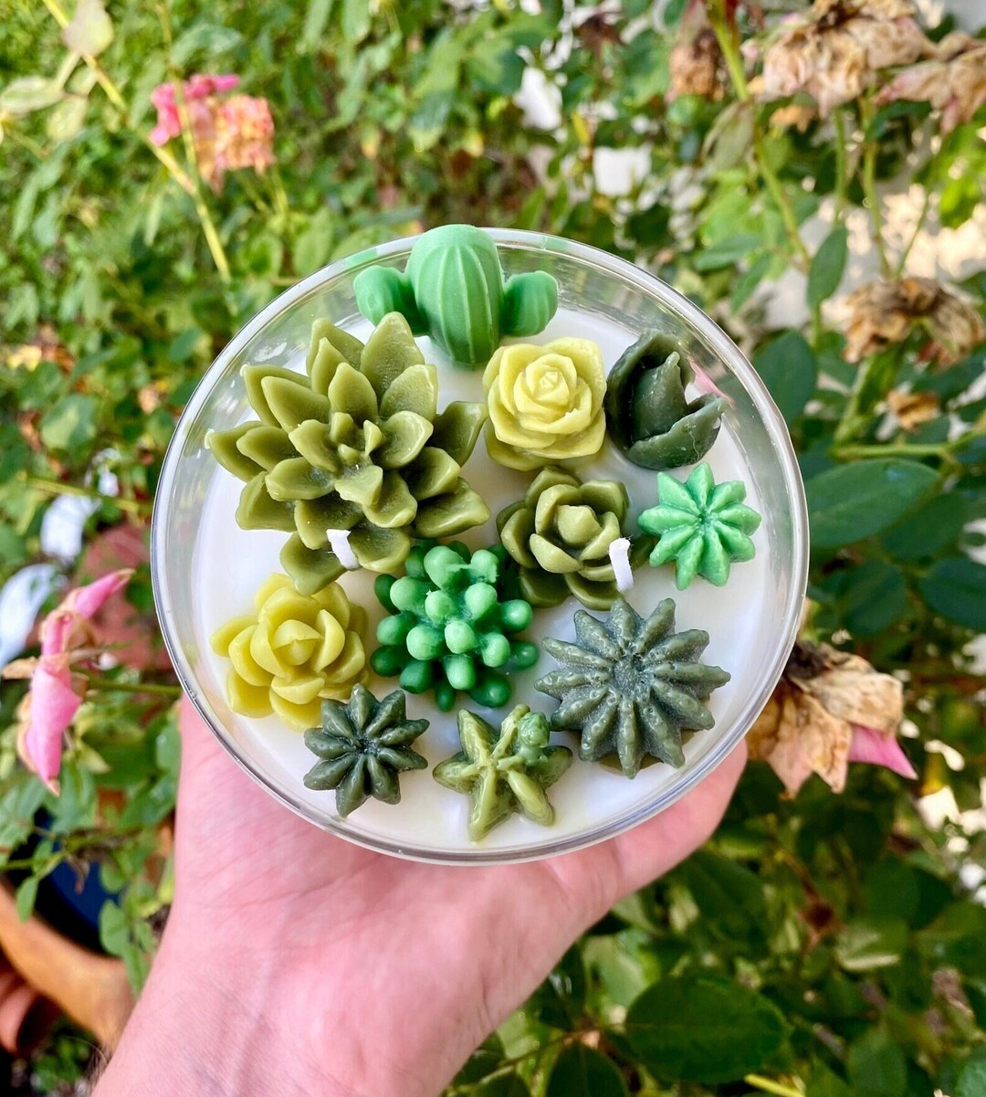 Succulent Terrarium Candle 22oz Large Candleplant Candle Gift Cactus