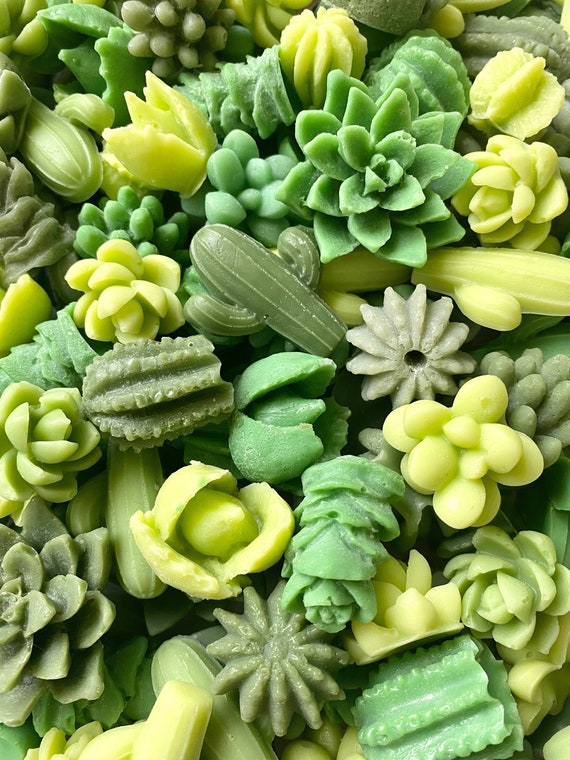 Succulent Wax Melts- Shaped Wax Pieces- Succulents & Cacti- Soy Wax Succulents- Scented Wax Pieces-Mini Succulents- Handmade Soy Wax Melts