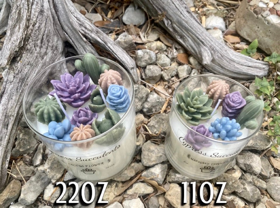 Succulent Terrarium Candle Earth Tones Soy Wax Succulents Etsy