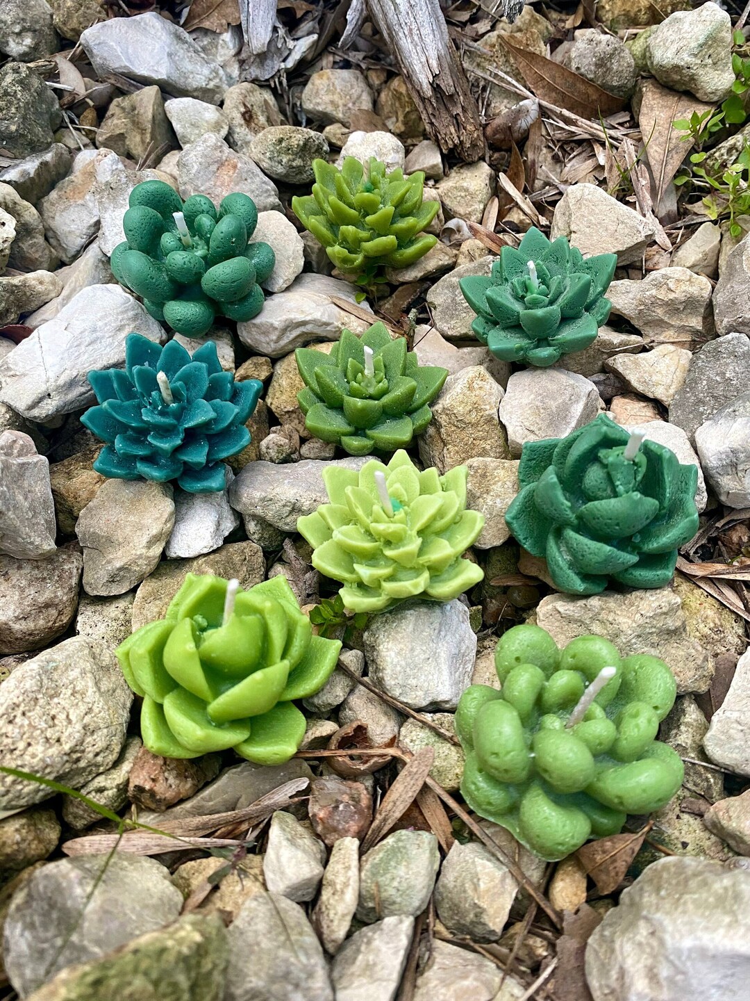 Candele galleggianti Candele a forma di succulente verdi