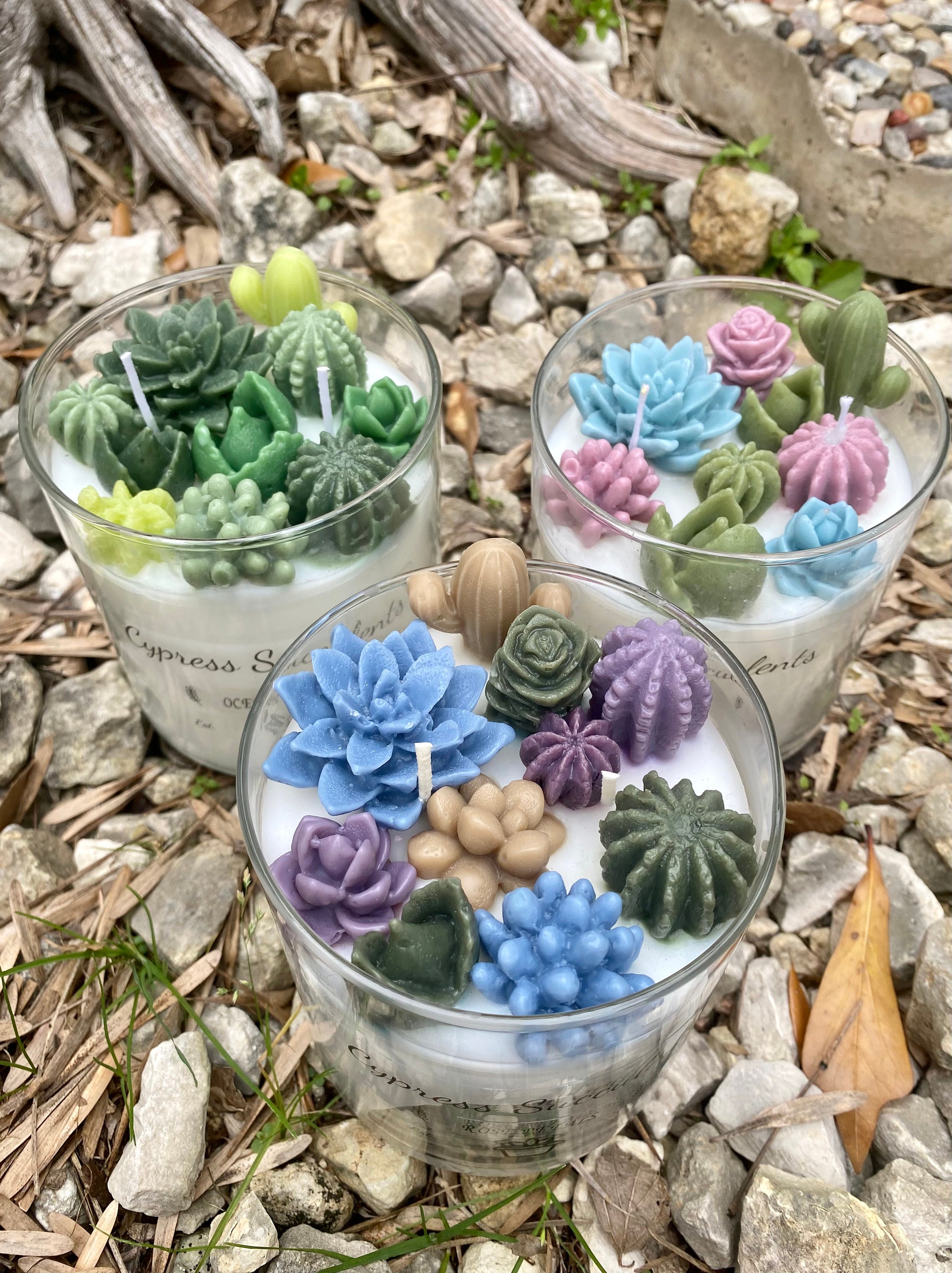 Succulent Terrarium Candle Earth Tones Soy Wax Succulents Etsy