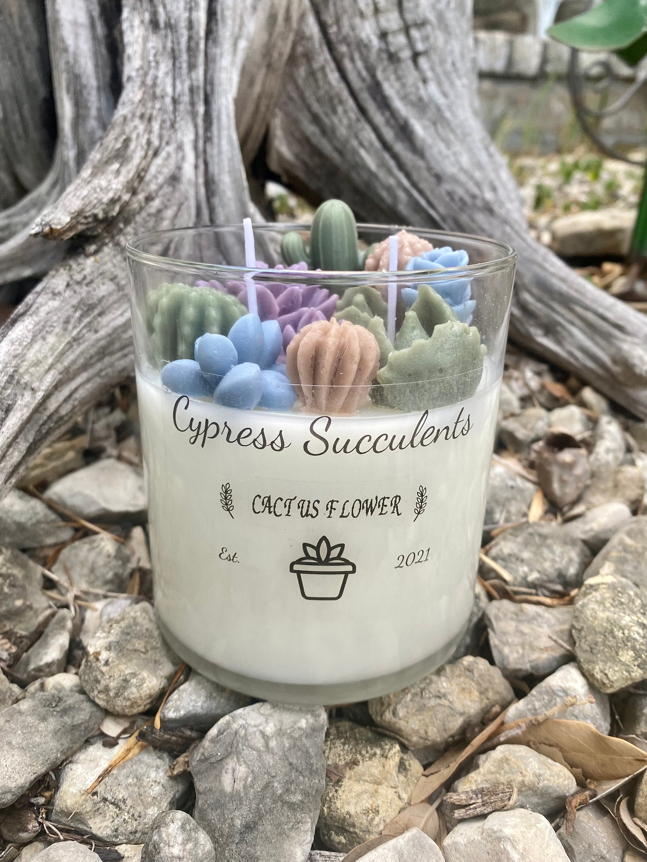 Succulent Terrarium Candle Earth Tones Soy Wax Succulents Etsy