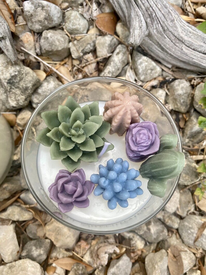 Succulent Terrarium Candle Earth Tones Soy Wax Succulents Etsy