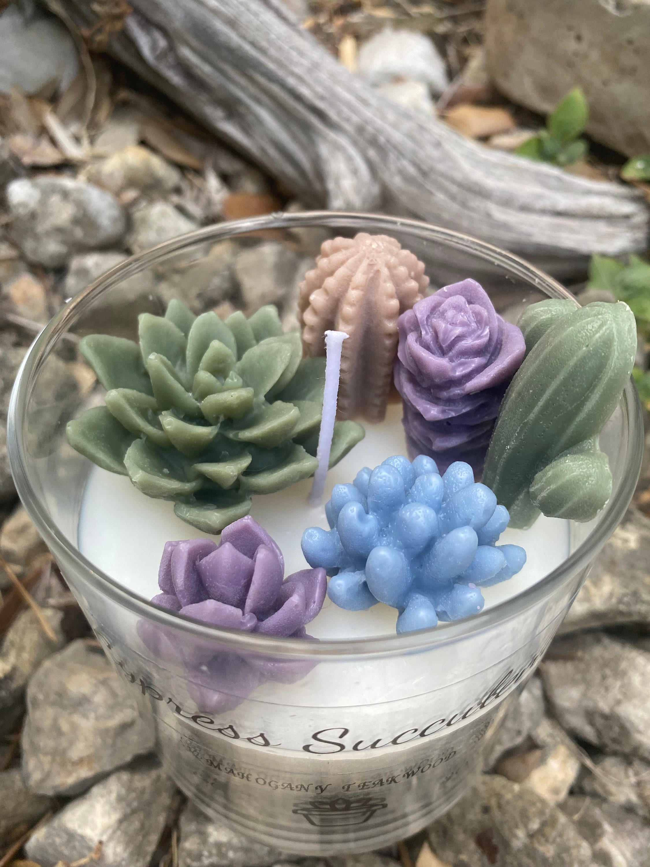 Succulent Terrarium Candle Earth Tones Soy Wax Succulents Etsy
