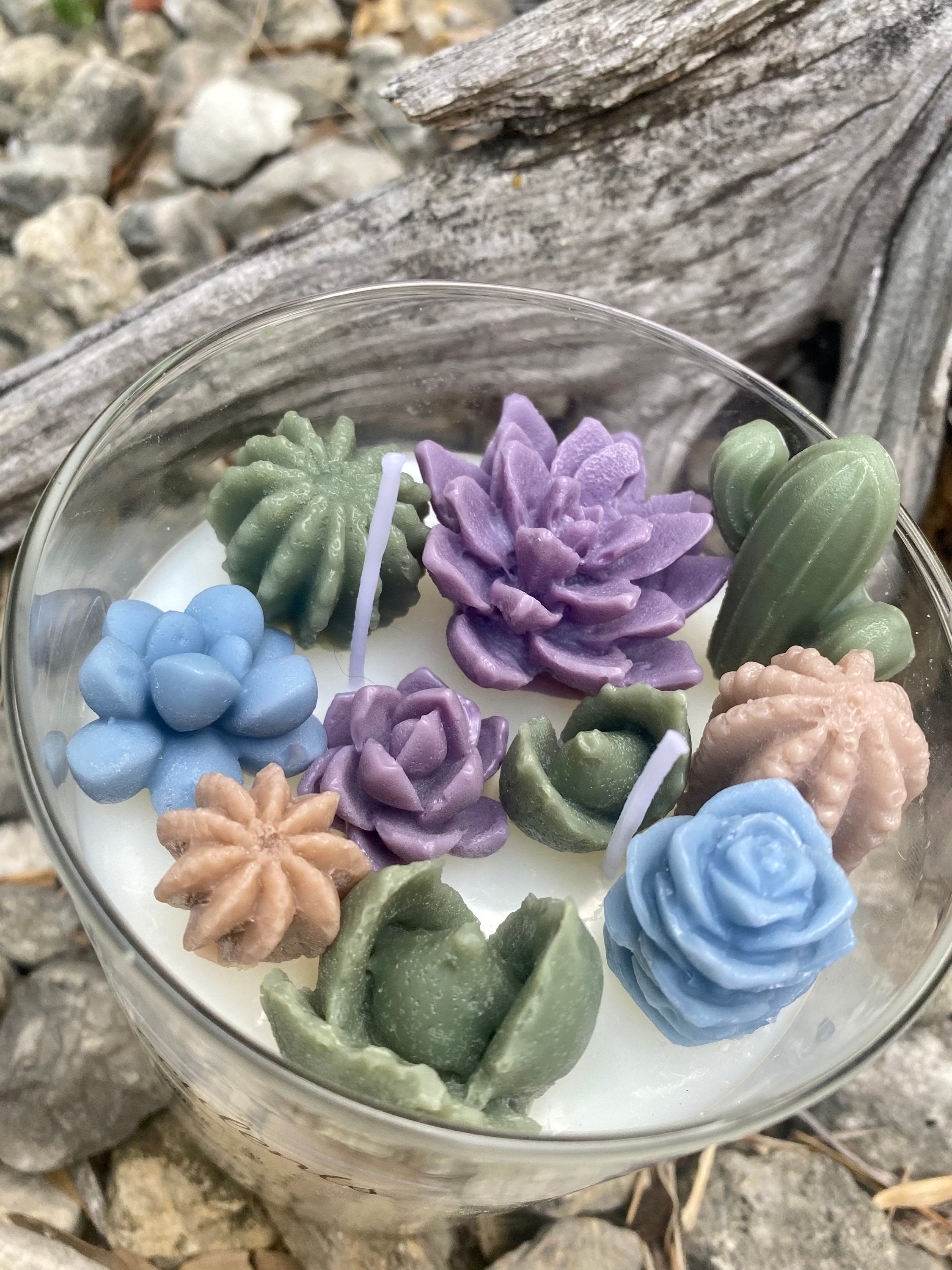 Succulent Terrarium Candle Earth Tones Soy Wax Succulents Etsy