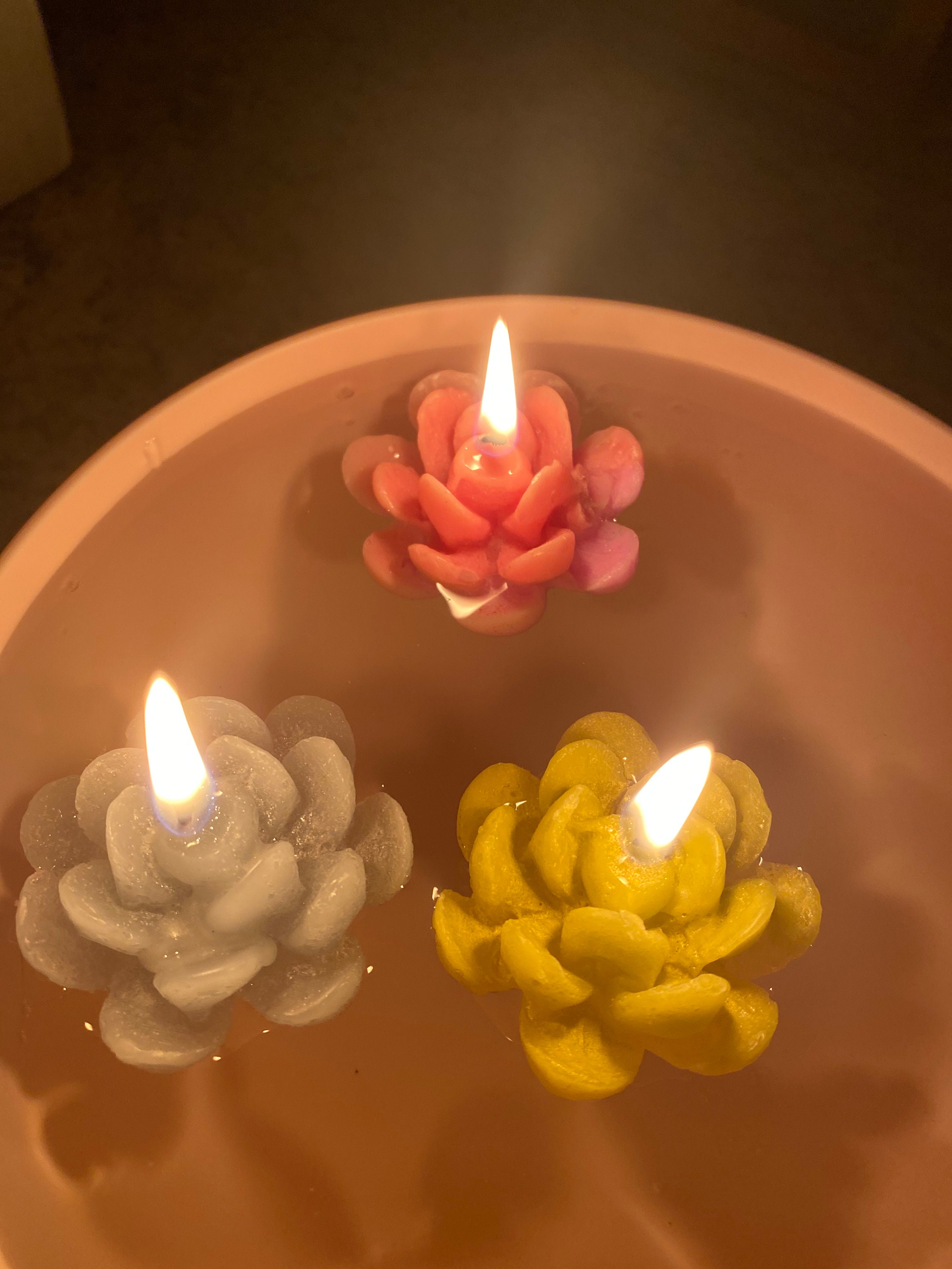 Floating Succulent Candles Etsy Ireland