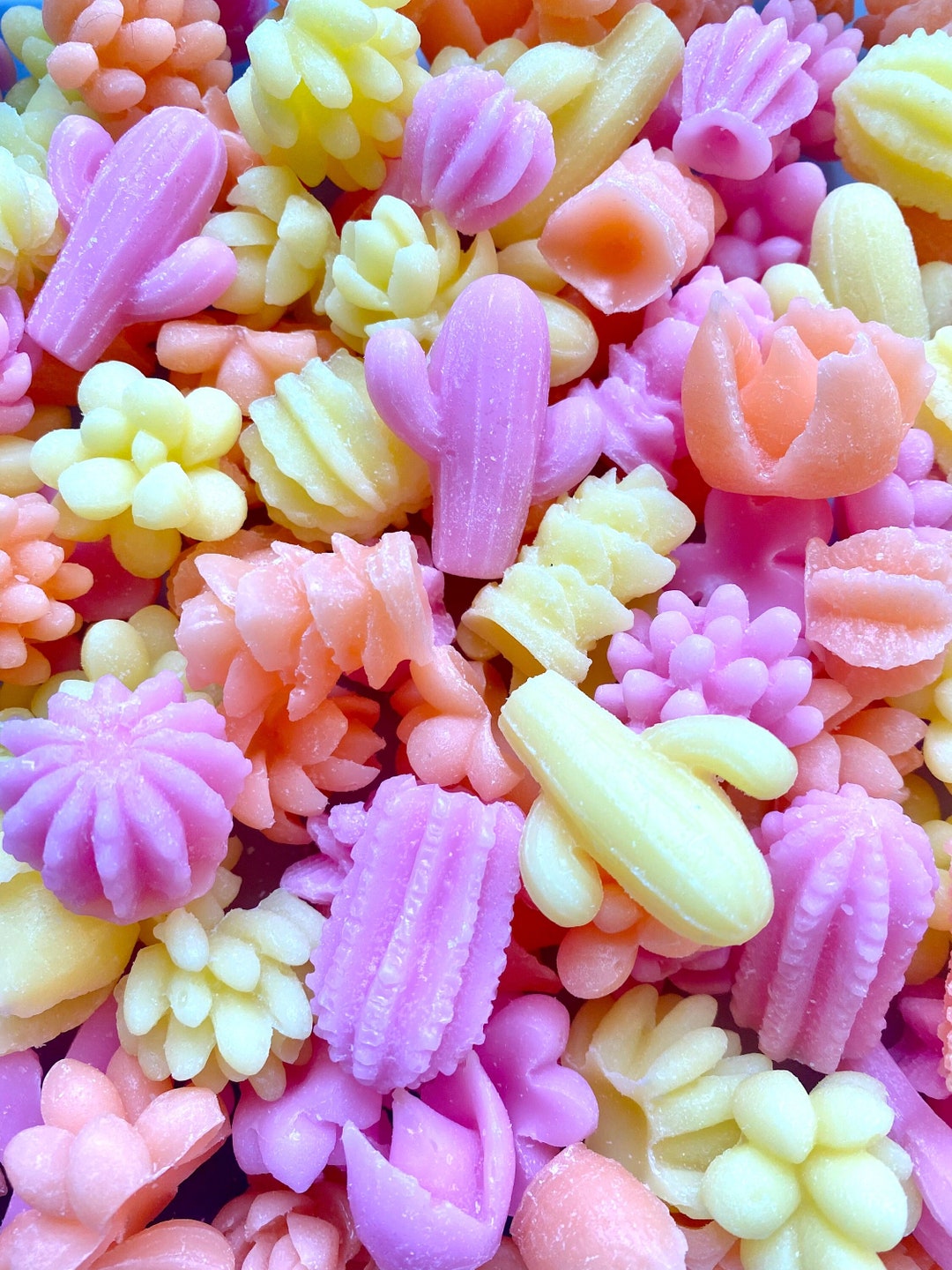 Succulent Wax Meltsshaped Wax Meltsmini Cactus & Succulentsfragrant