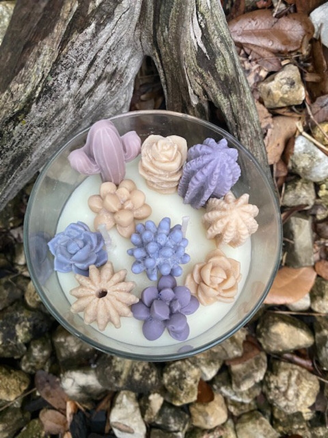 Succulent Terrarium Candle Purple Sands Etsy