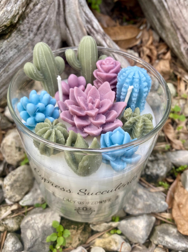 Succulent Terrarium Candle Cactus and Succulents Soy Wax Etsy