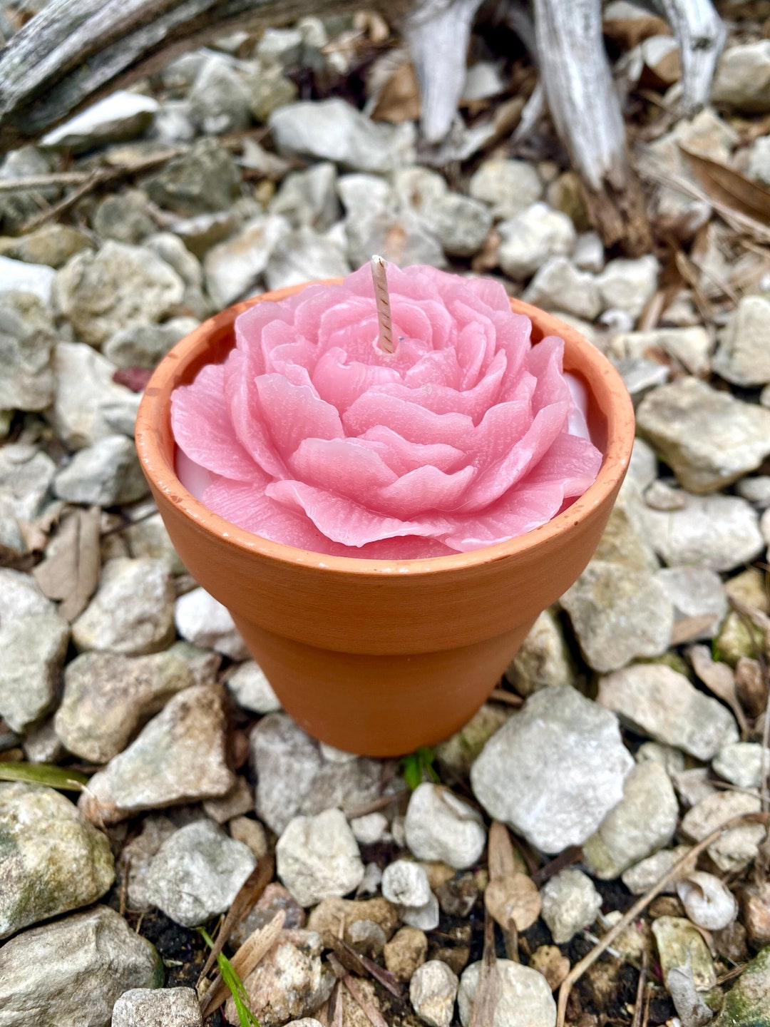 牡丹キャンドル - ピンクの花のキャンドル - ピンクの牡丹 - 大豆