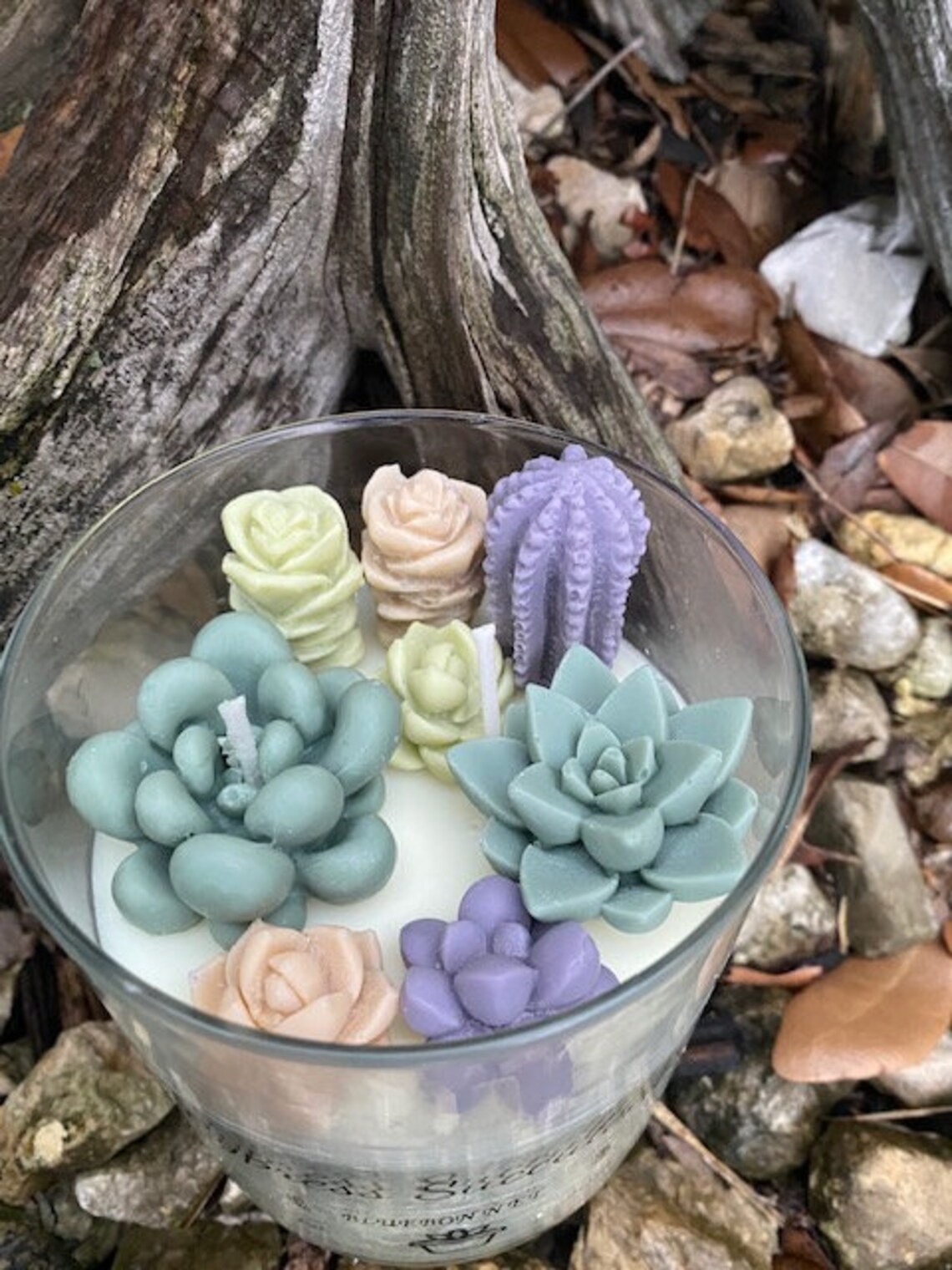 Succulent Terrarium Candle Earth Tones Etsy