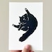 see more listings in the Shapes of Cats section