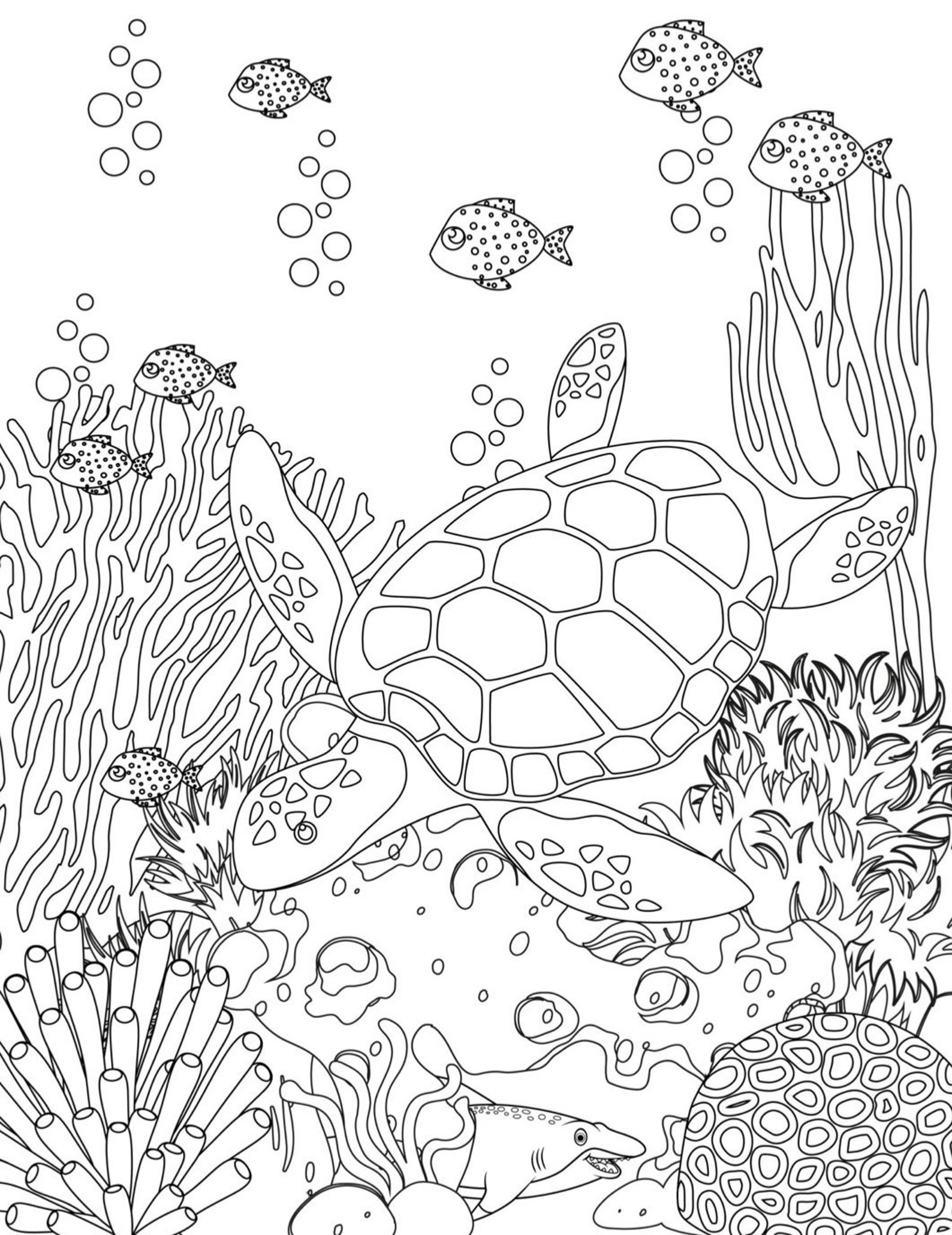 Sea Life 10 Printable Coloring Pagesdigital downloadfun Etsy