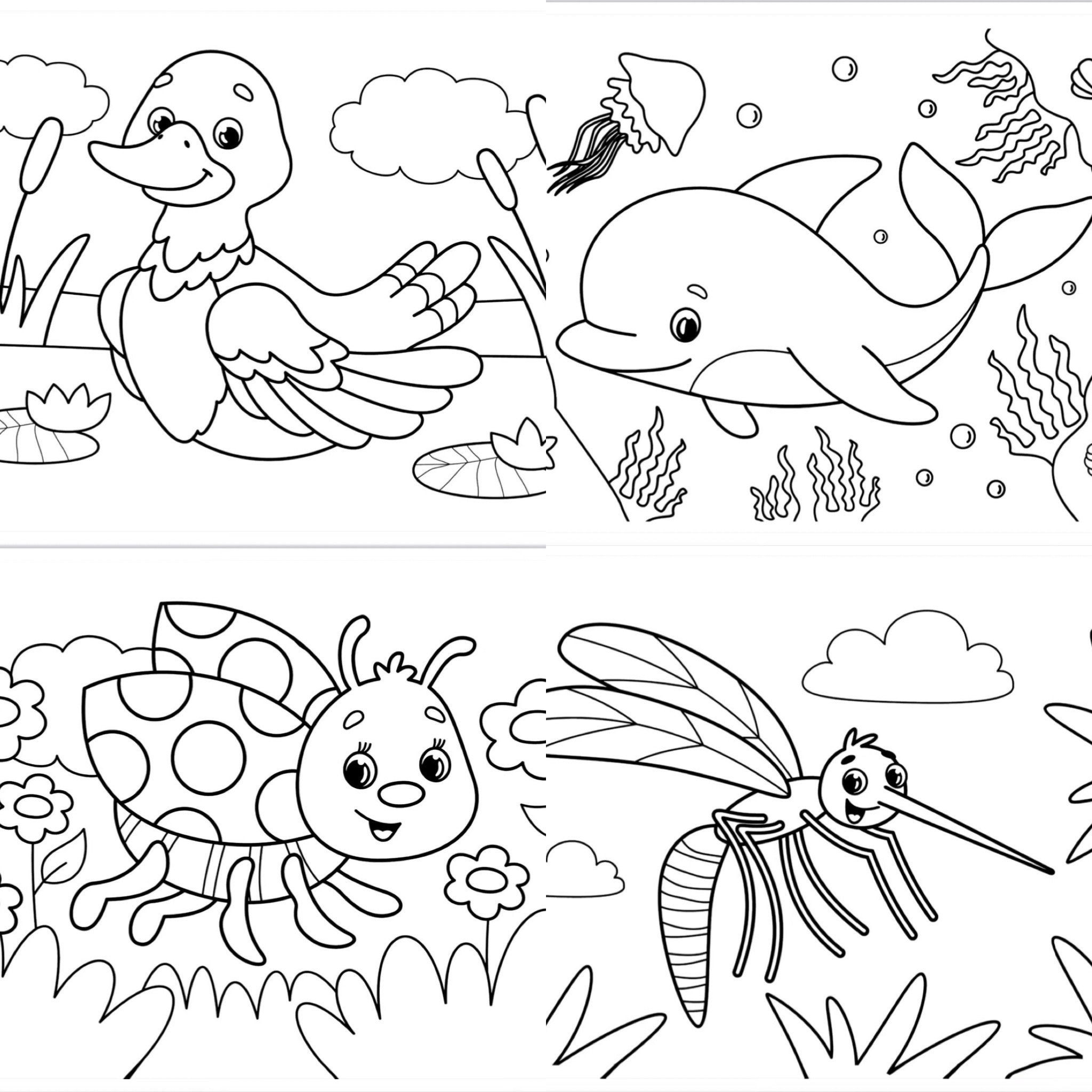 Cute Animal Cartoon Printable Coloring Pages Anime Cartoon Character ...