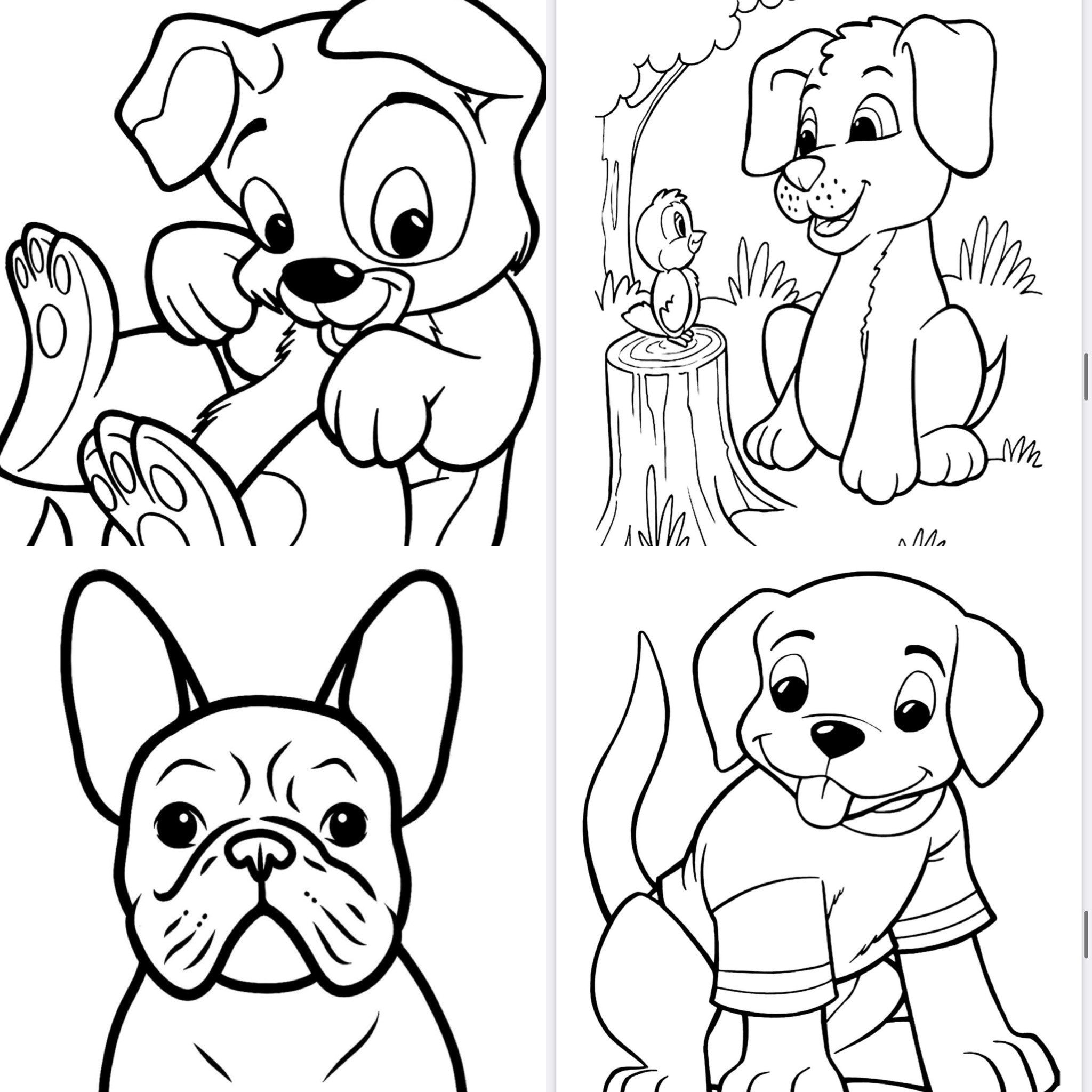 Dog 50 Printable Coloring Pages-instant Download-cartoon Sheets-anime
