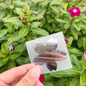 May include: A silver sticker with a five-pointed star shape, resembling a flower. The sticker is on a clear sheet of paper.
