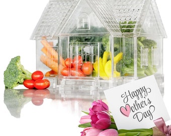 Lite N' Fresh Veggie Fruit Container w/Lid, Solar Light & Remote - Food-Grade Materials, Great Storage Space - Valentine's Day Gift