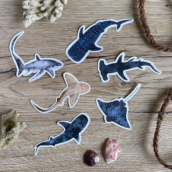 SHARK WATERCOLOR STICKER | 100% Recycled Sticker Paper | Set of 6 Pieces | Plastic-free Packaging | Shark Diving Stickers | Eco Sticker