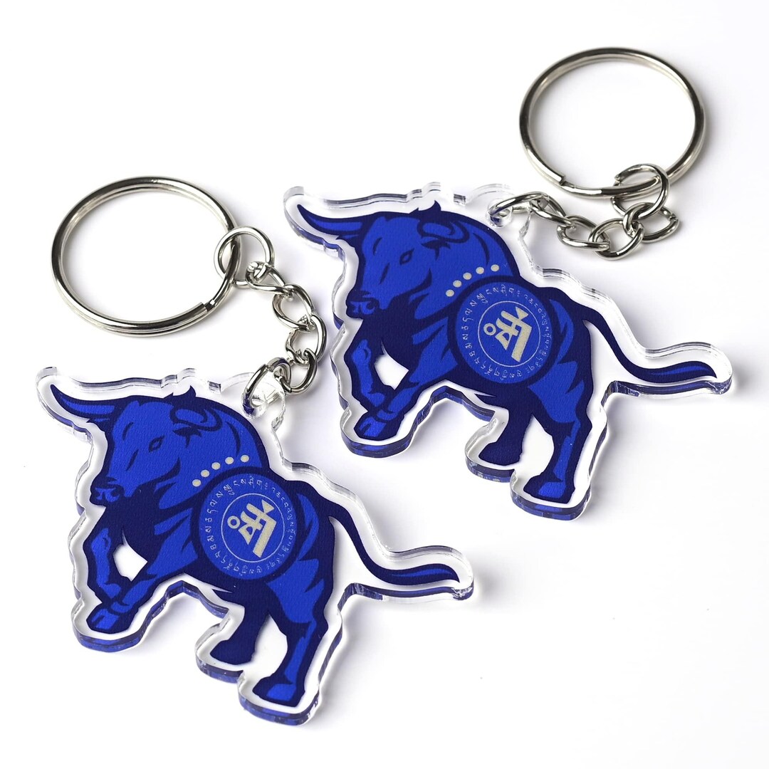Big Money Bull Amulet Feng Shui Keychains, Symbol for Wealth and ...
