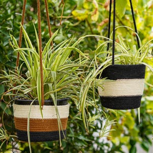 May include: Two hanging plant pots filled with green and white plants. The pots are made of woven material with black, brown, and cream stripes. They are suspended by brown and black rope.