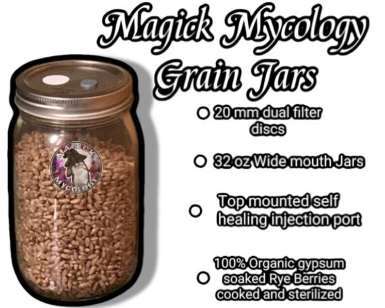 Six Pack Sterilized Organic Rye Berries Grain Quart Jars Etsy