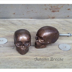 Peut inclure: Deux poignées de tiroir en forme de crâne en bronze avec des vis et des rondelles argentées. Les crânes sont détaillés et ont une finition légèrement texturée.