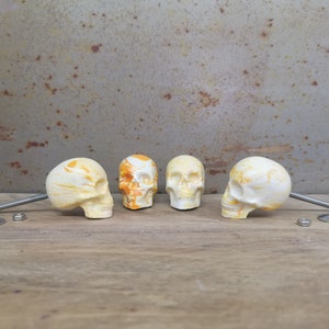 May include: Four decorative skull-shaped cabinet knobs. Two knobs have a yellow and white marbled design, one is solid yellow, and one is white with orange accents. Each knob has a metal rod, washer, and nut.