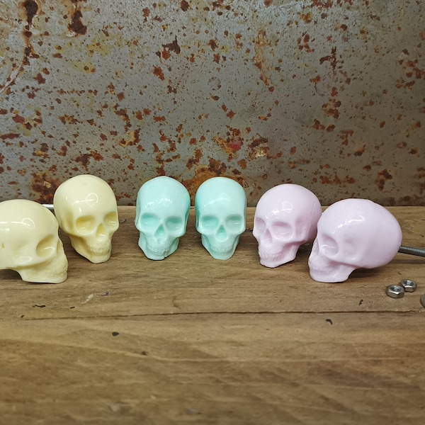 Pastel Skull Knobs, Skull Drawer Pulls