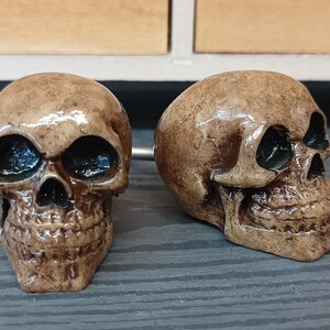 May include: Two brown skull-shaped drawer pulls with a detailed design.
