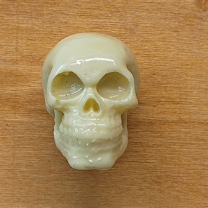 May include: A white plastic skull with a detailed face, including eye sockets, a nose, and a mouth. The skull is a decorative item.