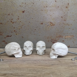 May include: Four white ceramic skull drawer pulls with a metal screw. The skulls are detailed with intricate carvings and have a slightly distressed finish.