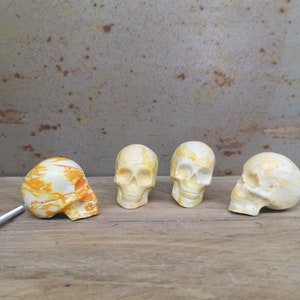 Peut inclure: Quatre tirettes de tiroir en céramique blanche avec des marbrures jaunes. Les crânes sont tournés vers l'avant et ont une bouche légèrement ouverte. Les tirettes sont sur une surface en bois.