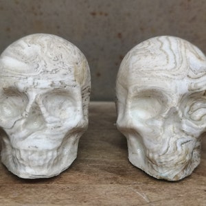 May include: Two white ceramic skull sculptures with a marbled pattern. The skulls are facing each other and have a detailed design.