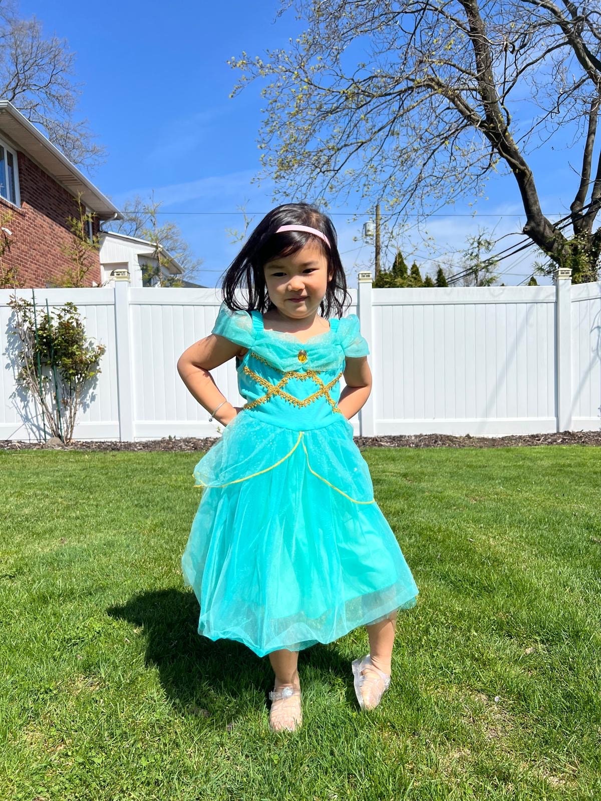 Princess Jasmine Aladdin Inspired Toddler Girls Princess Dress Gown Magical  Birthday Party Costume Set Sparkly Glitter Gift Christmas - Etsy