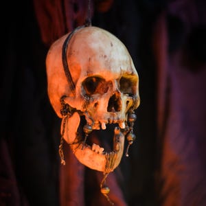 Realistic Tzantza Skull Shrunken Head Decoration Gift Horror Skull