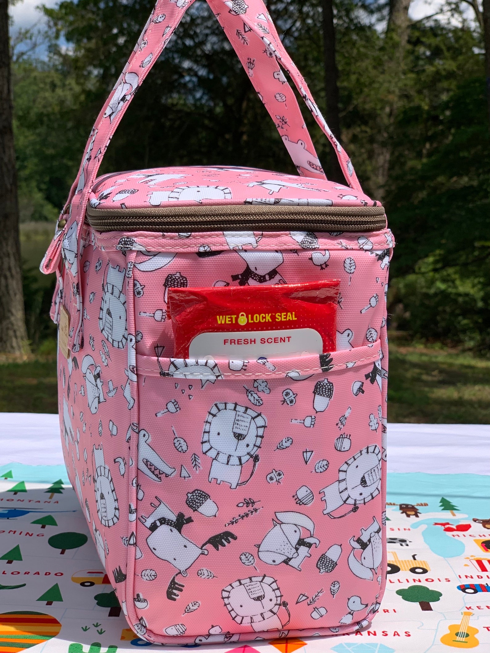 Cute Lion Insulated Lunch Bag for Kids/WomenReusable Bento Etsy