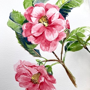 ORIGINAL WATERCOLOUR Botanical Painting CAMELLIA Floral