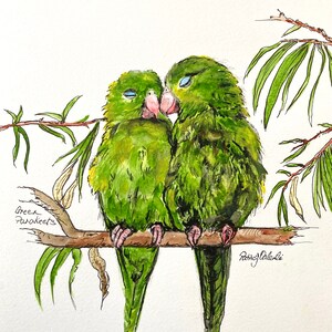 ORIGINAL AQUARELL VogelGemälde SITTICHE in Love