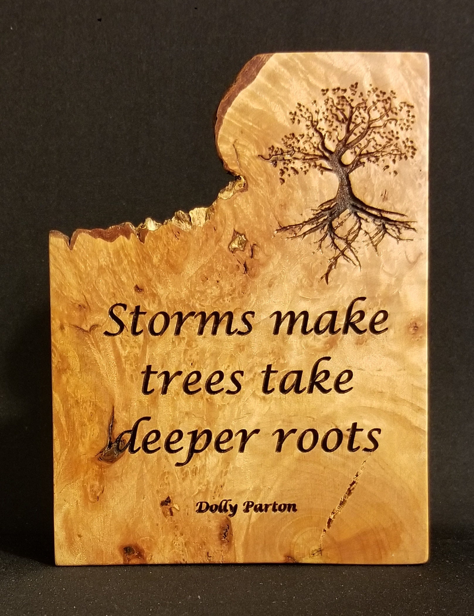 Message Plaques, Handmade in America, SPECIAL ORDER, ONLY! Price Shown ...