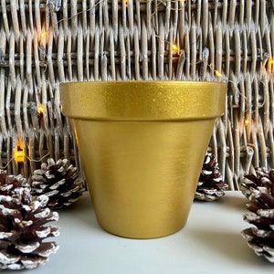 Puede incluir: Una maceta de terracota dorada con purpurina. La maceta está sobre una superficie blanca con tres piñas alrededor.