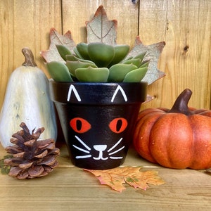 Può includere: Vaso di terracotta nero dipinto con un viso di gatto nero, con baffi bianchi e occhi arancioni. Il vaso è pieno di una pianta grassa verde ed è circondato da foglie autunnali e zucche.
