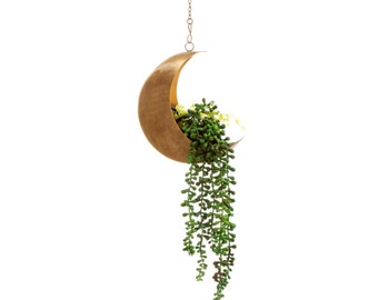 Celestial Moon Hanging Planter