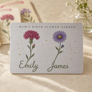May include: A rectangular silver-toned metal plaque featuring the text MUM'S BIRTH FLOWER GARDEN. It displays a pink carnation above the name Emily and a purple aster above the name James, accented with small gold stars and constellation patterns.