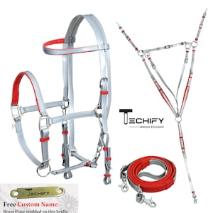 Equestrian Essential Washable PVC Synthetic Endurance Halter Bridle Set For Dressage Halter Bridle For Riding Get Free Custom Name Plate