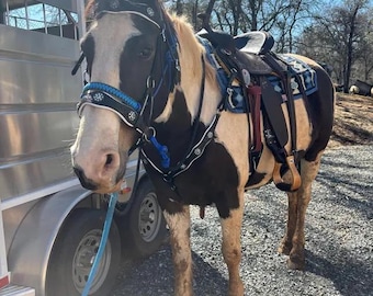 Bitless Leather Horse Bridle with Breastplate & Reins: Rhinestone Conchos
