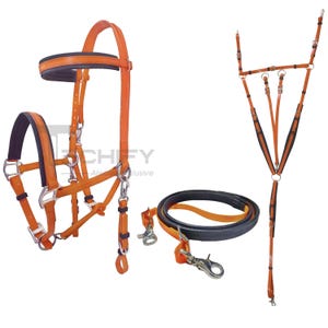 Equestrian Essential Washable PVC Synthetic Endurance Halter Bridle Set For Dressage Halter Bridle For Riding Get Free Custom Name Plate