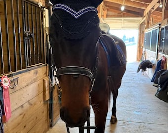 Sapphire Crystal V-Shape Leather Browband – Horse Tack