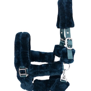 Polaire Rembourré Confort Nylon Licol noir pour cheval