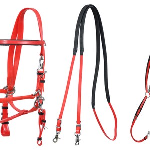 Horse Red Endurance Halter Bridle Reins w Breast Plate Set Equestrian Glossy finish Free Custom Name brass Plate