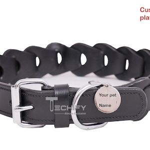 Braided Leather Dog Collar with Leash: Custom Name Plate